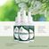 standard_resolution -39-